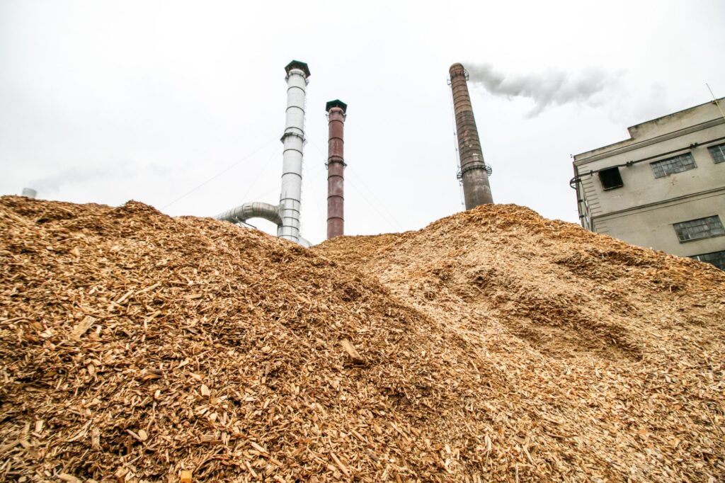 Biomass 2026: The Secret Weapon for Your Portfolio. Don’t Miss the Next Energy Pivot!