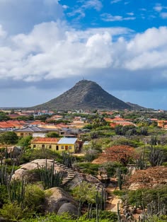 Aruba Holiday Packages – Compare Options Before You Book